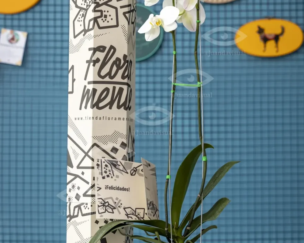 Protected: Tienda Floramente – Content Creation