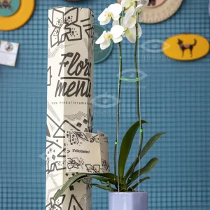 Protected: Tienda Floramente – Content Creation